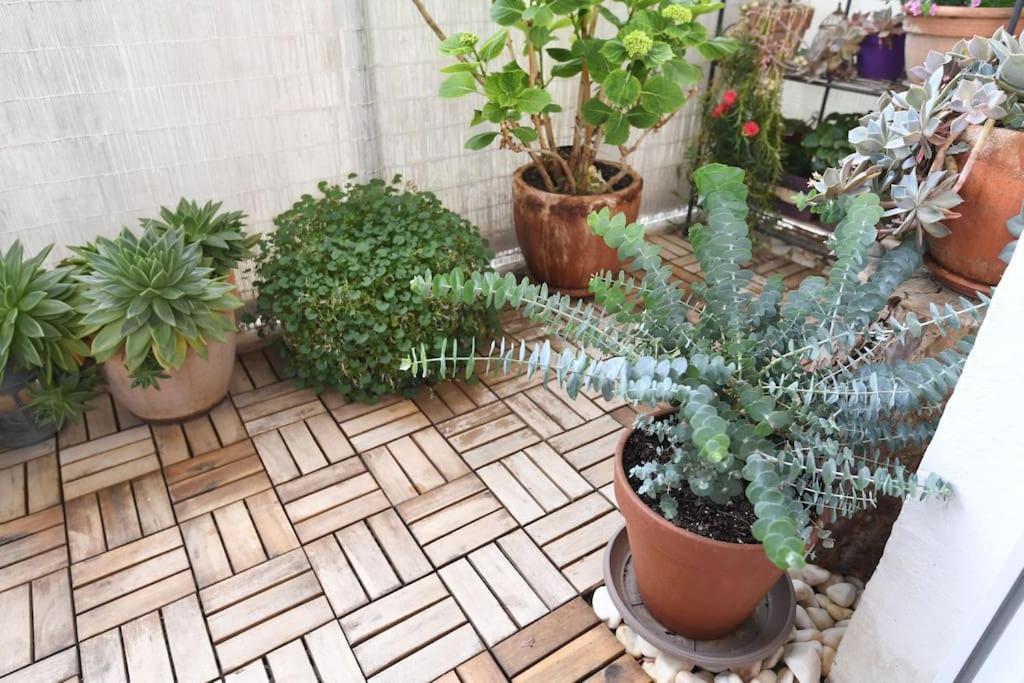 Apartman Ilijana ザダル エクステリア 写真