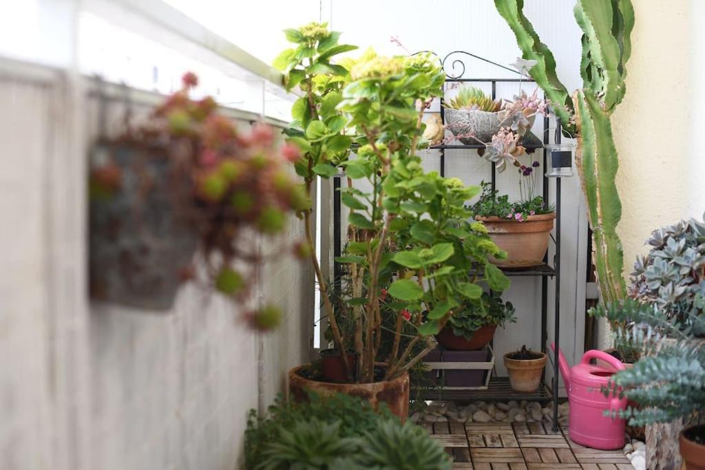 Apartman Ilijana ザダル エクステリア 写真